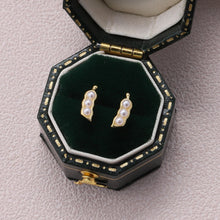 Load image into Gallery viewer, Attic Creations Message Bottle Earrings - ‘Peas in a Pod’