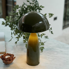 Load image into Gallery viewer, Abigail Ahern Leoma Olive Lamp
