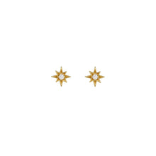 Load image into Gallery viewer, Amelia Scott Ziggy Mini North Star Stud Earrings - Gold
