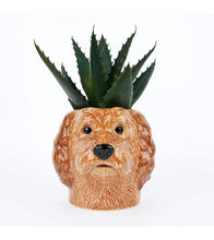 Load image into Gallery viewer, Quail Cockapoo Pencil Pot
