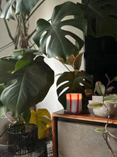 Load image into Gallery viewer, Maegen Atina Candle - Tomato &amp; Mint Leaf

