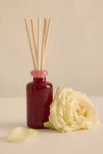 Load image into Gallery viewer, Paddywax Glass Diffuser Red &amp; Pink - Saffron Rose

