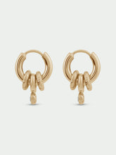 Load image into Gallery viewer, Tutti Aria Earrings Gold
