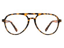 Load image into Gallery viewer, Goodlookers Rockwell - Black / Tortoiseshell
