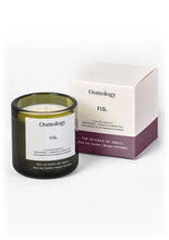 Load image into Gallery viewer, Osmology by Aery Soy wax candle- FIG

