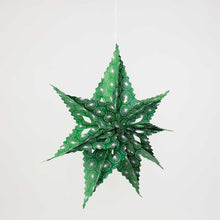Load image into Gallery viewer, Sirius Dandelion Star - Green/White
