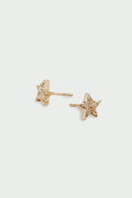 Load image into Gallery viewer, Tutti Cosma Earrings - Silver &amp; Gold
