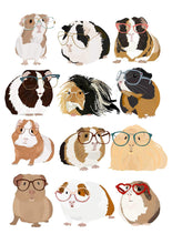 Load image into Gallery viewer, Guinea Pigs Wearing Glasses - Greeting Card
