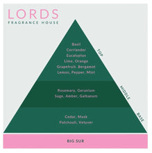 Load image into Gallery viewer, Lords Fragrance House Big Sur Candle 225g
