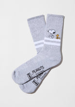 Load image into Gallery viewer, BESOCKS Snoopy Socks - Stripes Grey
