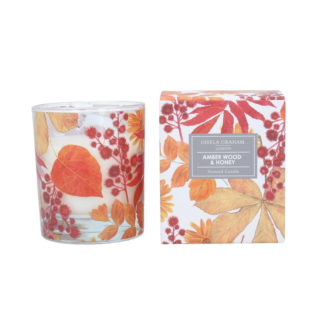 Gisela Graham Scented Candle - Amber Wood and Honey