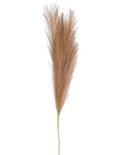 Load image into Gallery viewer, Faux Pampas Grass - 3 colours available
