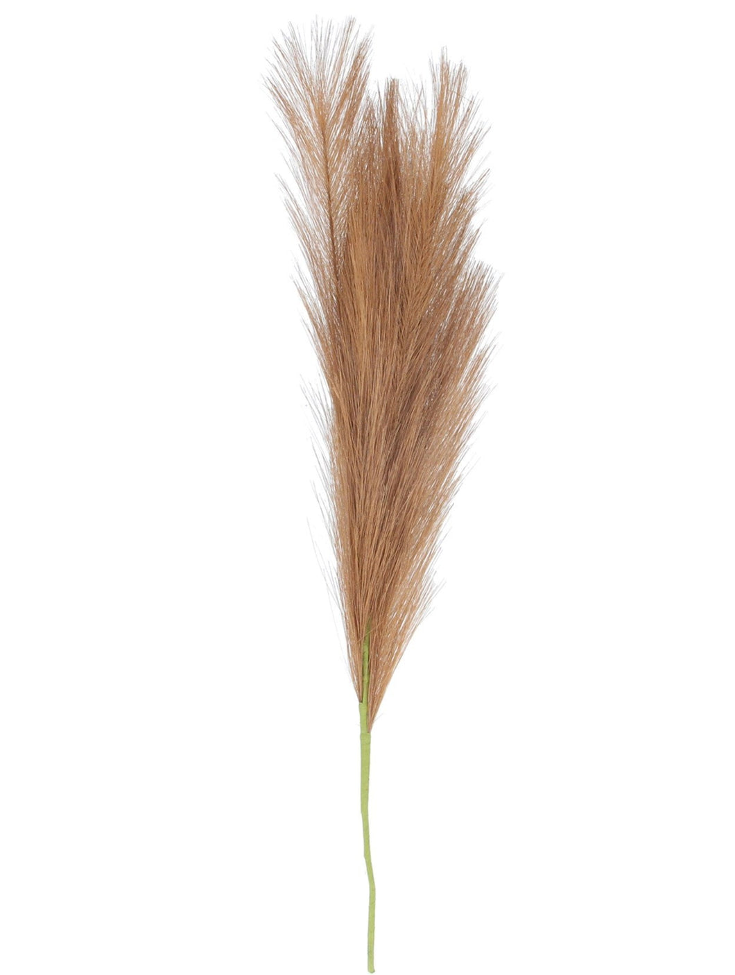 Faux Pampas Grass - 3 colours available