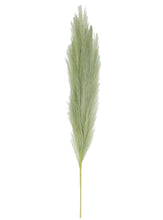 Load image into Gallery viewer, Faux Pampas Grass - 3 colours available
