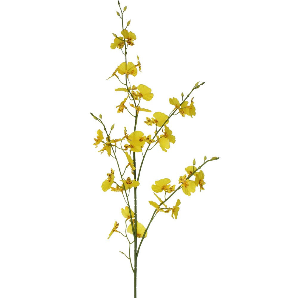 Yellow orchid spray