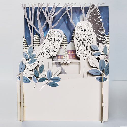 Pop Up Christmas Card - Owls