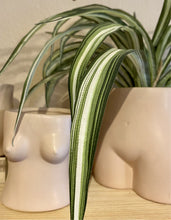 Load image into Gallery viewer, Small Ceramic Boobs Pot - Pink
