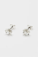 Load image into Gallery viewer, Estella Bartlett Buttercup with Pearl Earrings - Silver Plated
